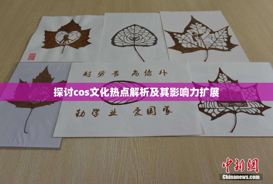 探讨cos文化热点解析及其影响力扩展