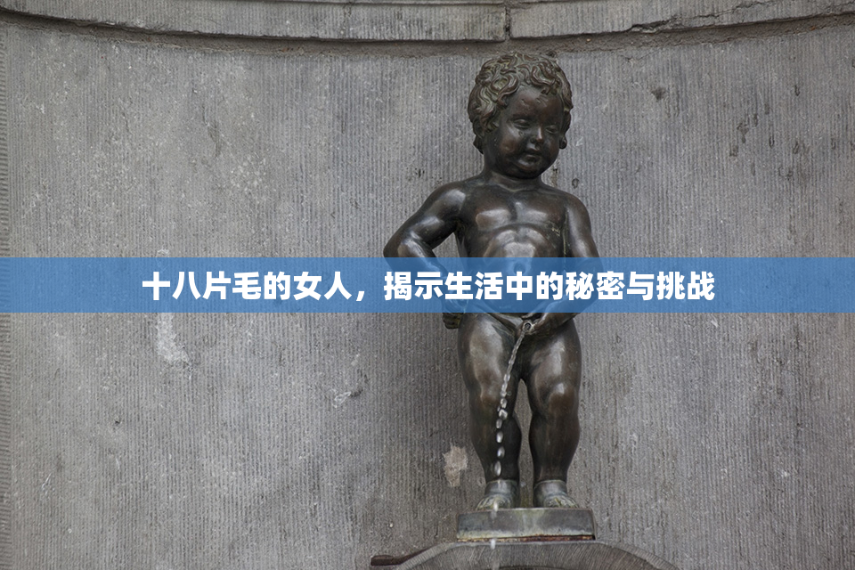 十八片毛的女人，揭示生活中的秘密与挑战