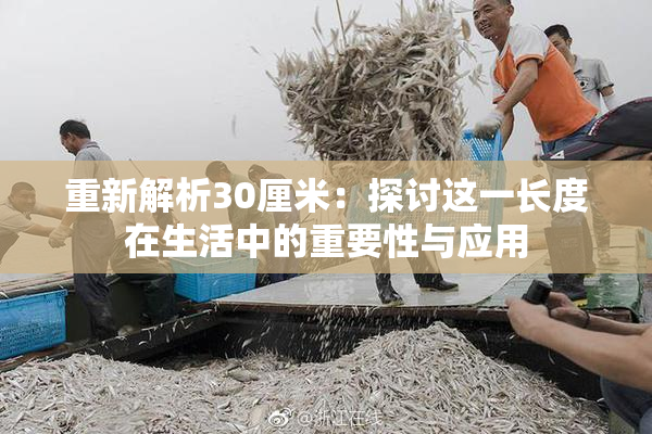 重新解析30厘米：探讨这一长度在生活中的重要性与应用