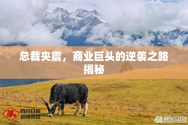 总裁夹震，商业巨头的逆袭之路揭秘