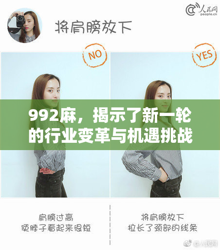 992麻，揭示了新一轮的行业变革与机遇挑战的关键数据分析