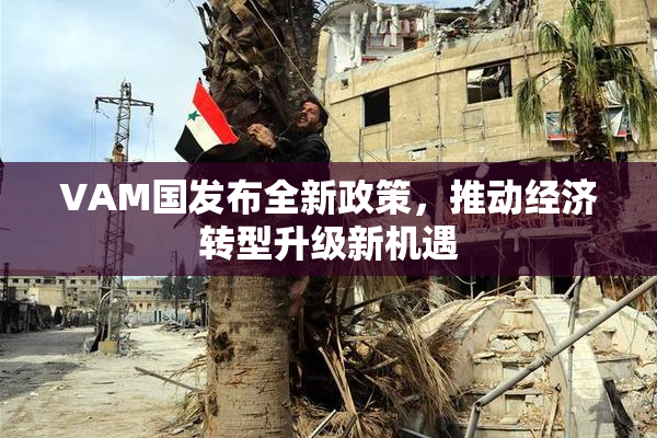 VAM国发布全新政策，推动经济转型升级新机遇