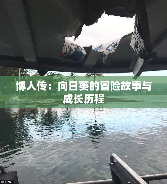 博人传：向日葵的冒险故事与成长历程