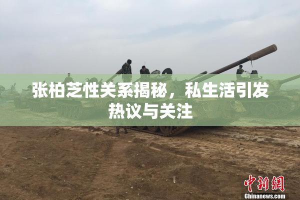张柏芝性关系揭秘，私生活引发热议与关注