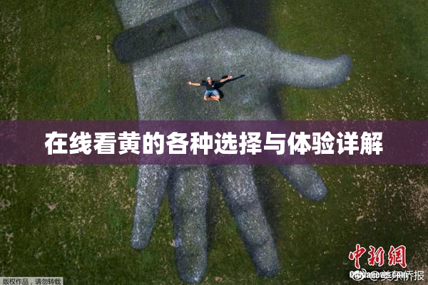 在线看黄的各种选择与体验详解