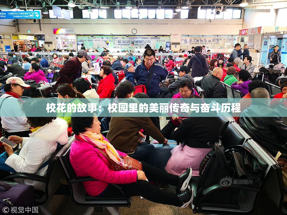 校花的故事：校园里的美丽传奇与奋斗历程