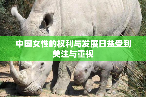 中国女性的权利与发展日益受到关注与重视