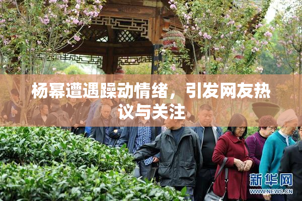杨幂遭遇躁动情绪，引发网友热议与关注