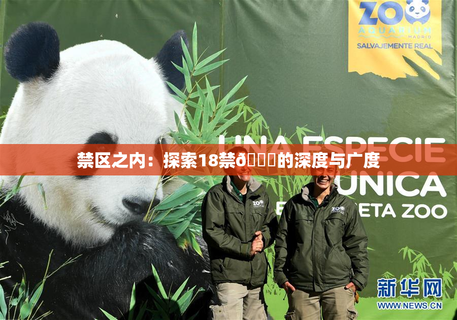 禁区之内：探索18禁🍆的深度与广度
