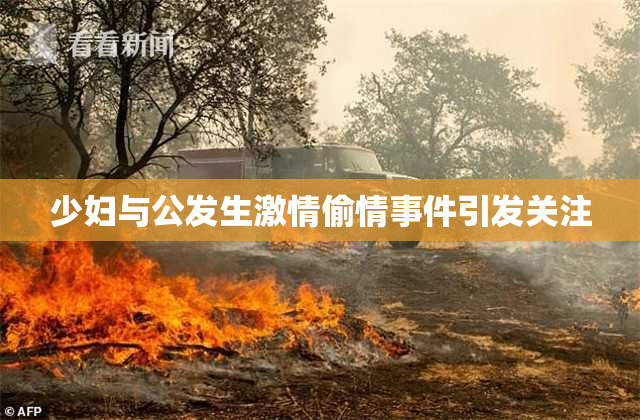 少妇与公发生激情偷情事件引发关注