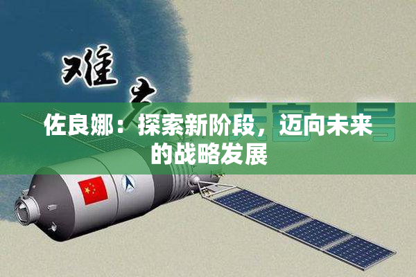佐良娜：探索新阶段，迈向未来的战略发展