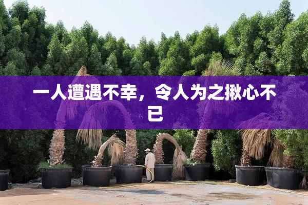 一人遭遇不幸，令人为之揪心不已