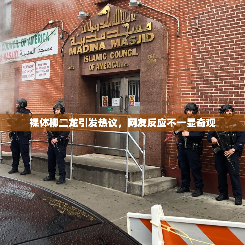 裸体柳二龙引发热议，网友反应不一显奇观