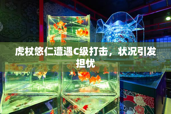 虎杖悠仁遭遇C级打击，状况引发担忧