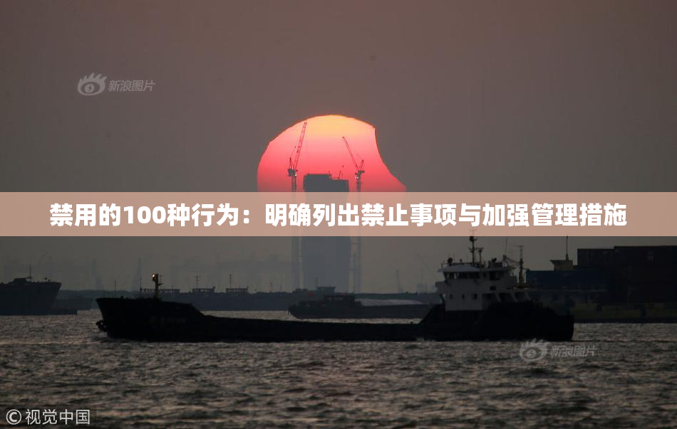 禁用的100种行为：明确列出禁止事项与加强管理措施
