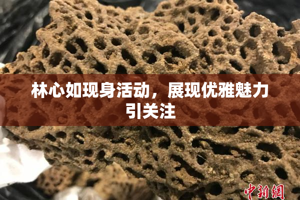 林心如现身活动，展现优雅魅力引关注