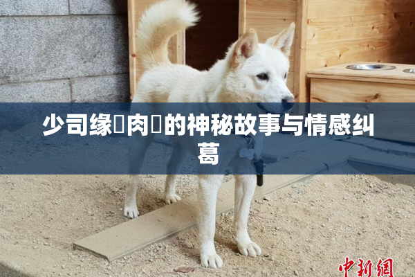 少司缘婬肉泬的神秘故事与情感纠葛