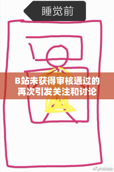 B站未获得审核通过的再次引发关注和讨论