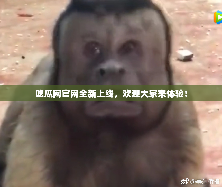 吃瓜网官网全新上线，欢迎大家来体验！