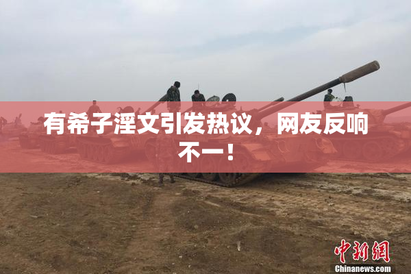 有希子淫文引发热议，网友反响不一！