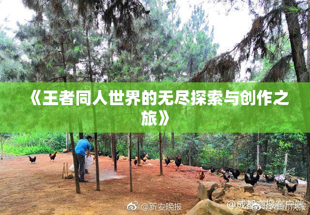 《王者同人世界的无尽探索与创作之旅》