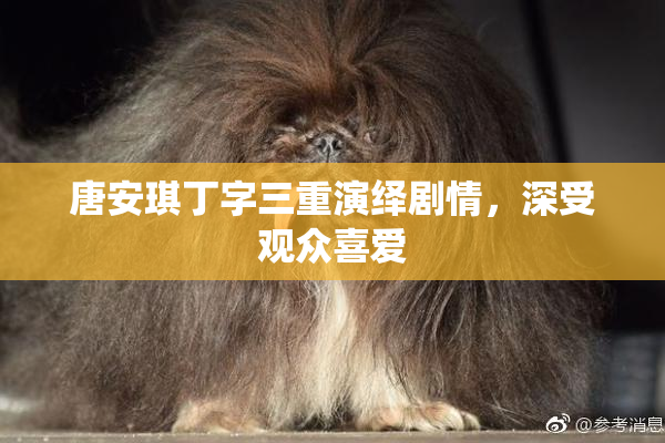 唐安琪丁字三重演绎剧情，深受观众喜爱