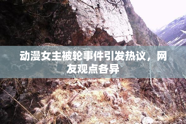 动漫女主被轮事件引发热议，网友观点各异