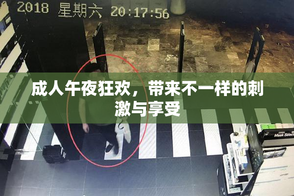 成人午夜狂欢，带来不一样的刺激与享受