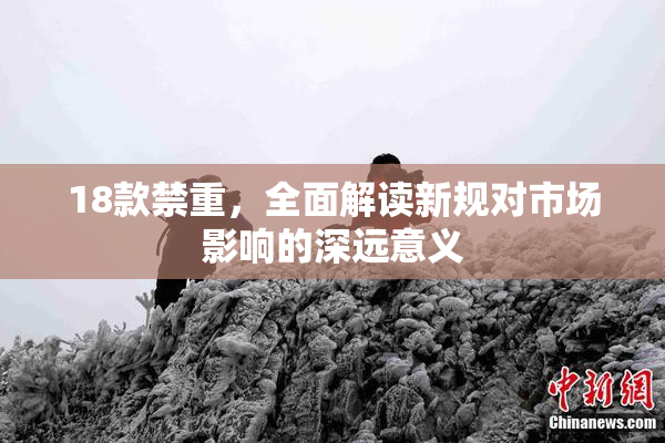 18款禁重，全面解读新规对市场影响的深远意义