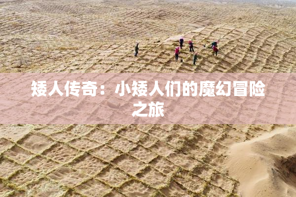 矮人传奇：小矮人们的魔幻冒险之旅