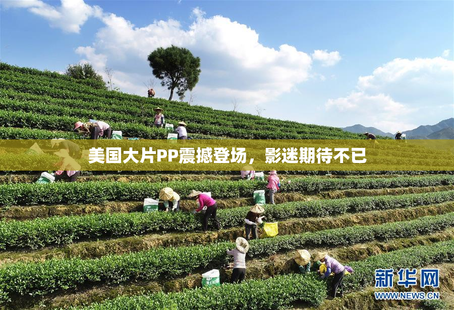 美国大片PP震撼登场，影迷期待不已