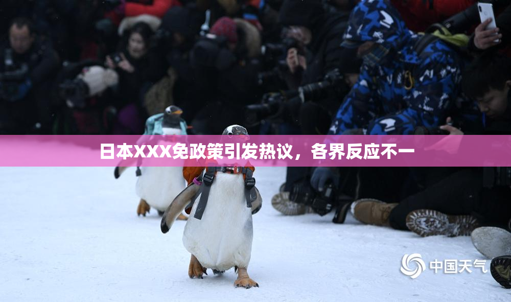 日本XXX免政策引发热议，各界反应不一