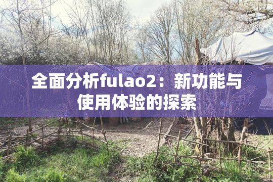 全面分析fulao2：新功能与使用体验的探索