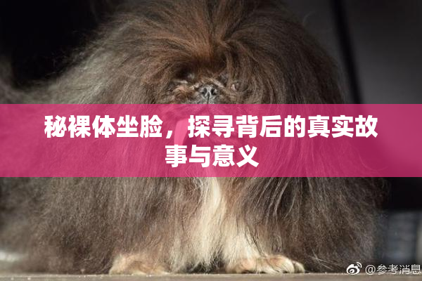 秘裸体坐脸，探寻背后的真实故事与意义