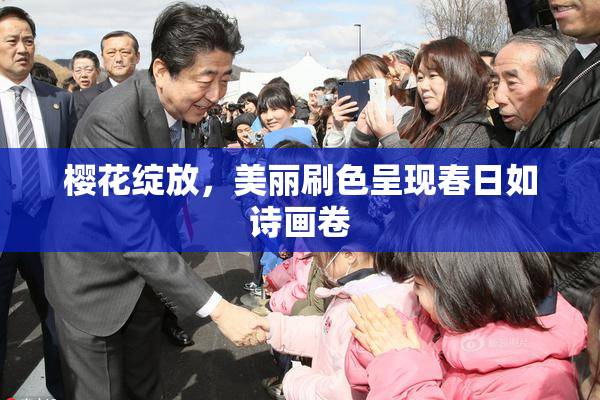 樱花绽放，美丽刷色呈现春日如诗画卷