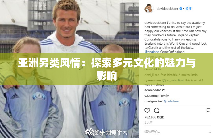 亚洲另类风情：探索多元文化的魅力与影响