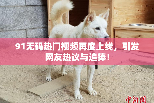 91无码热门视频再度上线，引发网友热议与追捧！