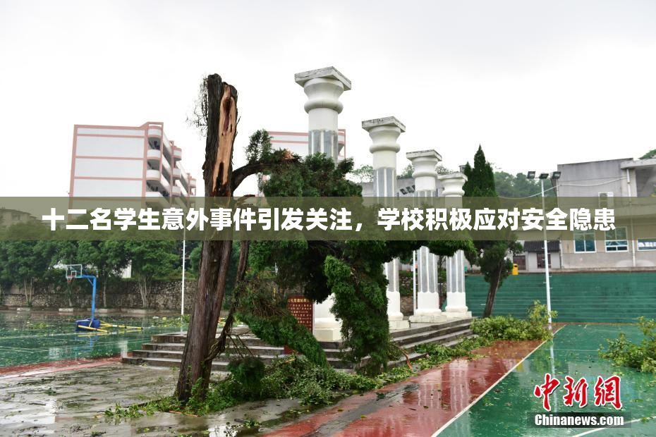 十二名学生意外事件引发关注，学校积极应对安全隐患