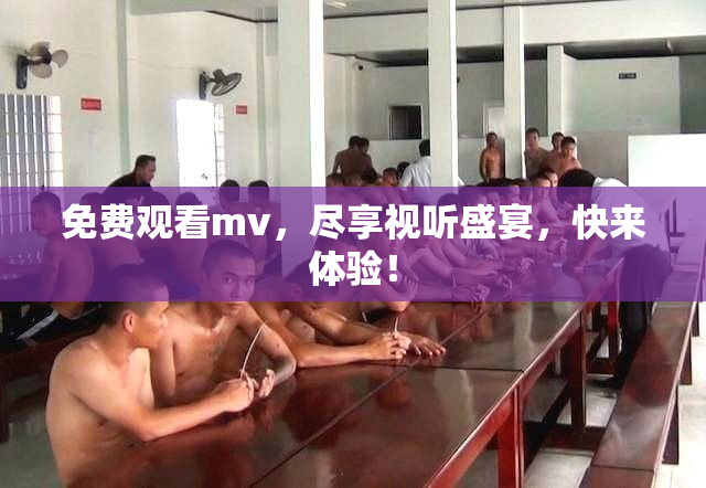 免费观看mv，尽享视听盛宴，快来体验！