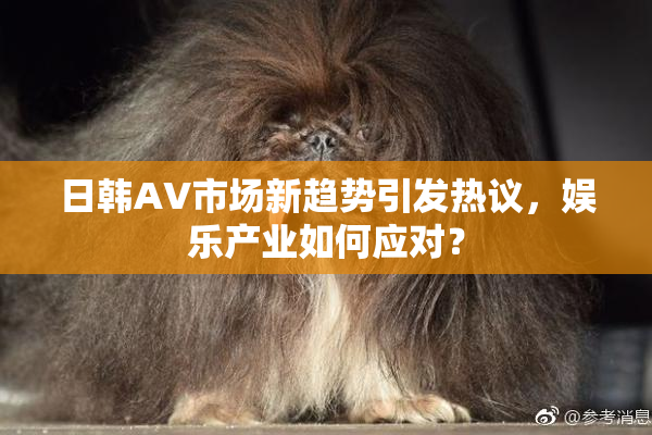 日韩AV市场新趋势引发热议，娱乐产业如何应对？