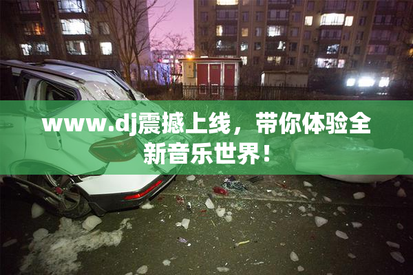 www.dj震撼上线，带你体验全新音乐世界！