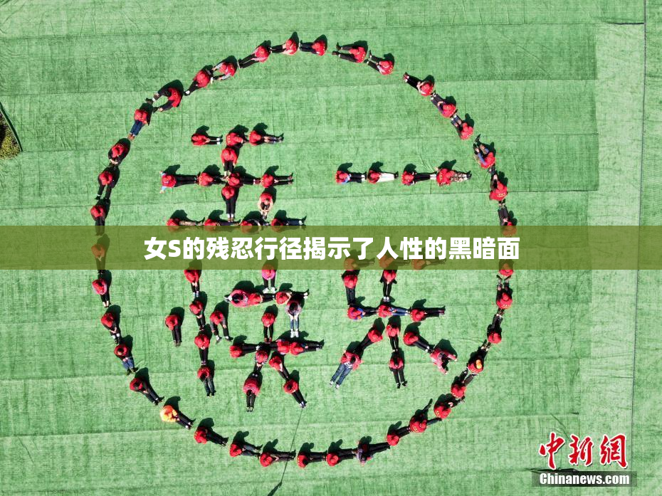 女S的残忍行径揭示了人性的黑暗面