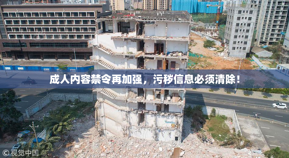 成人内容禁令再加强，污秽信息必须清除！