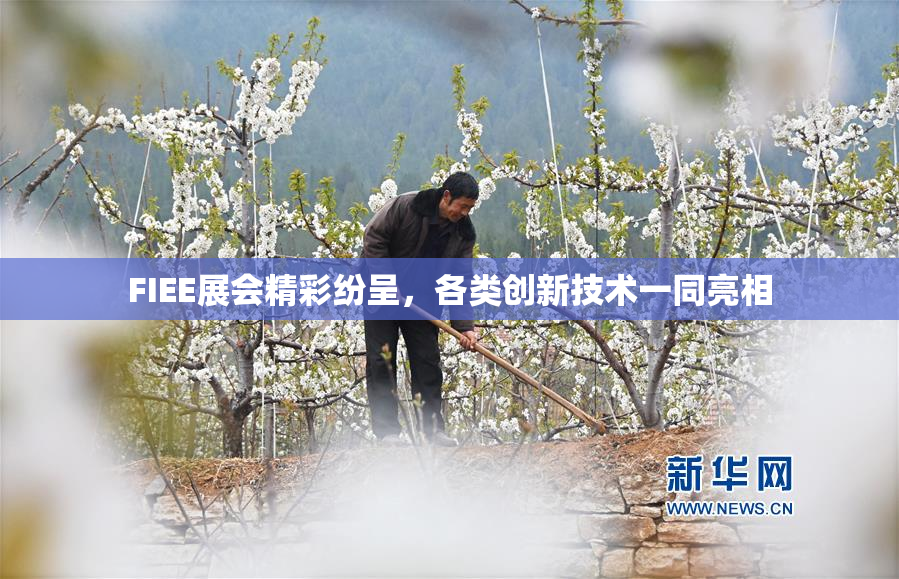 FIEE展会精彩纷呈，各类创新技术一同亮相