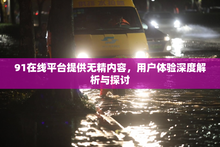 91在线平台提供无精内容，用户体验深度解析与探讨