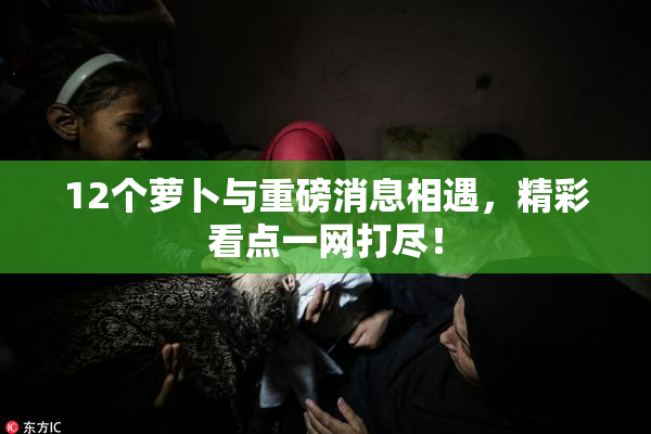 12个萝卜与重磅消息相遇，精彩看点一网打尽！