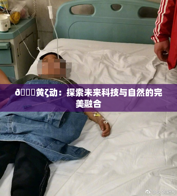 🔞黄ζ动：探索未来科技与自然的完美融合