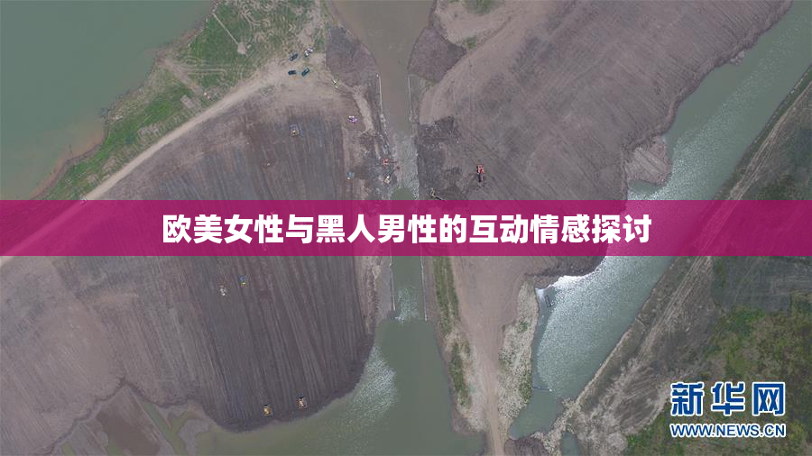 欧美女性与黑人男性的互动情感探讨