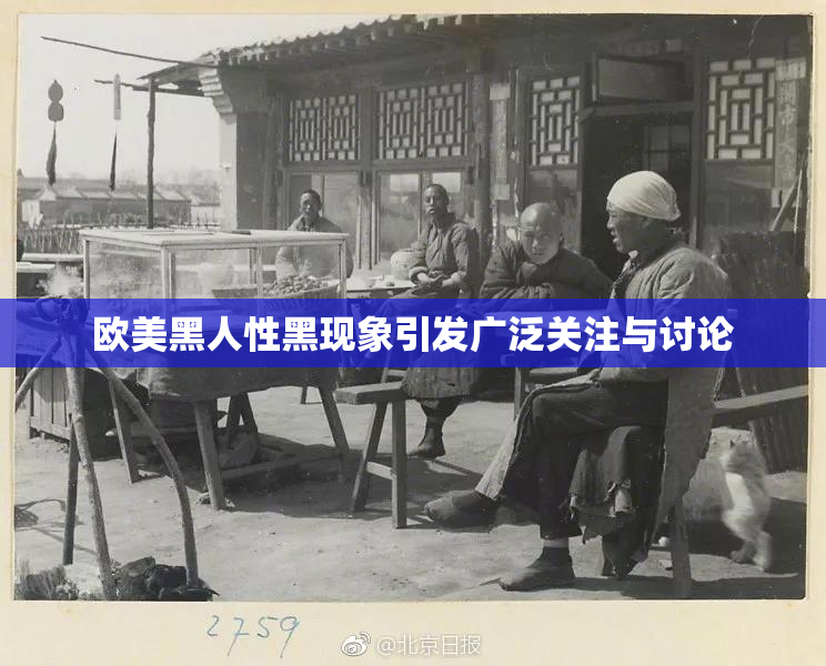 欧美黑人性黑现象引发广泛关注与讨论