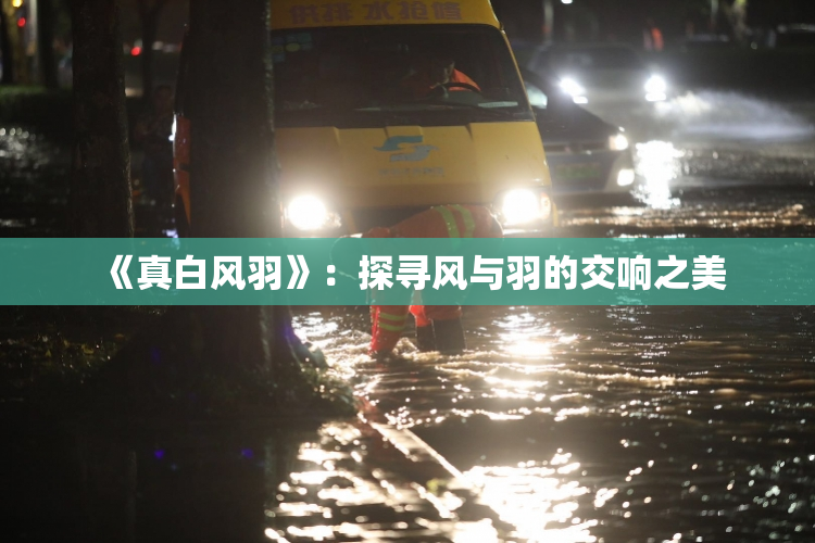 《真白风羽》：探寻风与羽的交响之美
